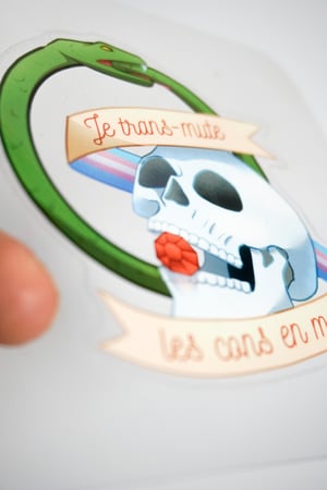 Image of Sticker "Je transmute les cons en morts"