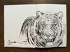 Remarqued Signed Tuskers Copy - Siberian Tiger