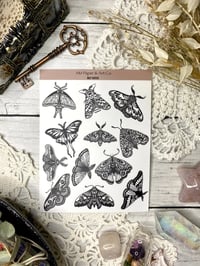 Image 2 of Inky Moths Sticker Sheet