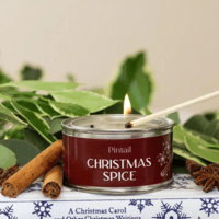 Christmas Spice Pintail Candle