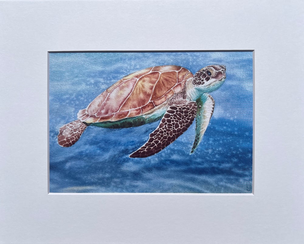 Image of Sea Turtle prints from my original artwork