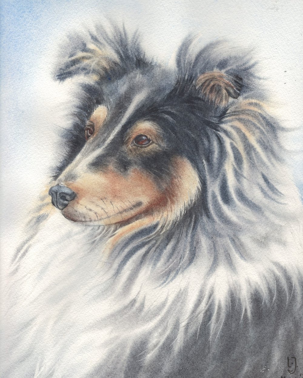 Image of Custom Pet Portraits