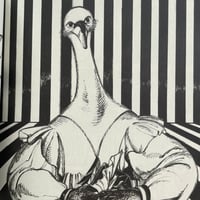 Image 12 of Star of Swan by Margot Ferrick