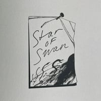 Image 13 of Star of Swan by Margot Ferrick
