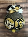 University of Central Florida
