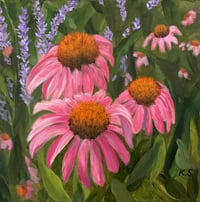 Cone Flowers