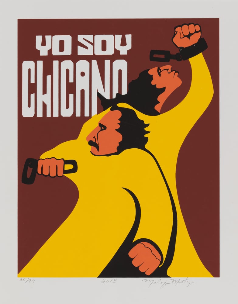 Image of Yo Soy Chicano (2013)