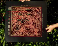 Image 3 of MUDHONEY live at Capitol - Pordenone - IT