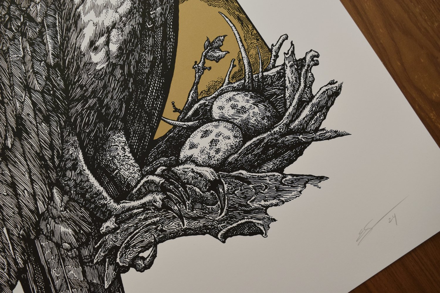 Image of Osprey