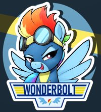 Image 1 of Wonderbolts Vinyl Sticker