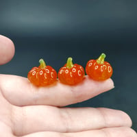 Image 1 of Micro pumpkins 