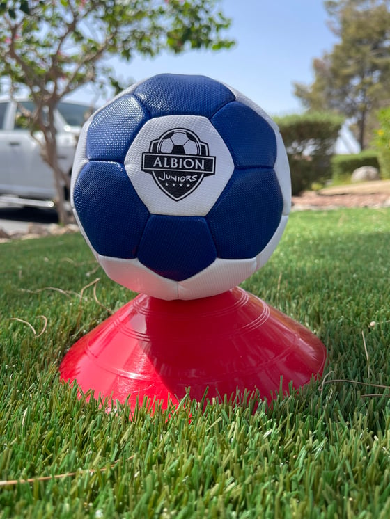 Image of Blue Juggling Ball