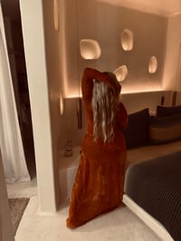 Image 3 of Orange Blossom