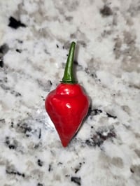 Image 1 of Scotch Bonnet x Biquinho Seeds