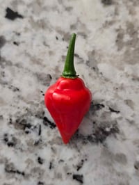 Image 2 of Scotch Bonnet x Biquinho Seeds