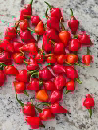 Image 4 of Scotch Bonnet x Biquinho Seeds