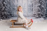 Image 4 of Christmas Mini Photoshoot in Cheltenham 8th, 9th & 11th November 2024