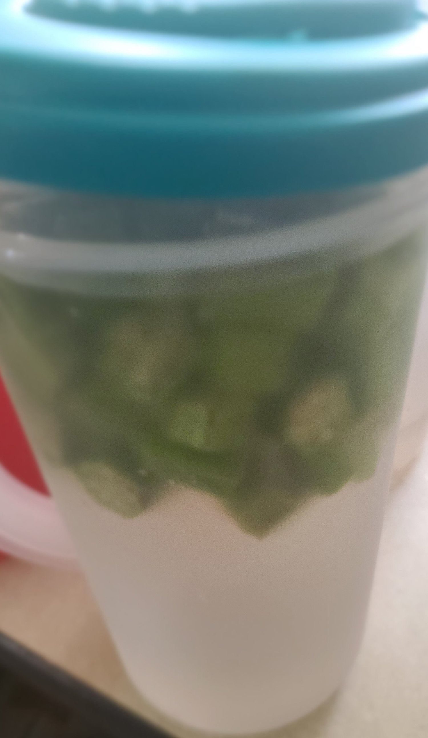 Image of Okra Water