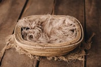 Image 3 of Brown oval basket