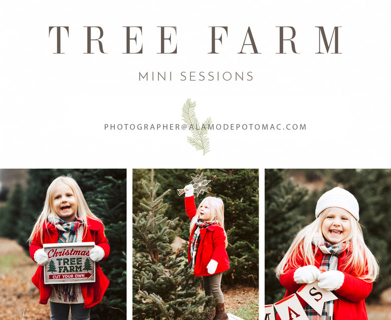 Image of Tree Farm Mini Sessions - Saturday, November 23rd, 2024