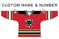 Image 1 of CUSTOM RED Authentic Tackle Twill Venom Jersey