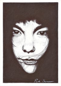 Bjórk in Ballpoint Pen