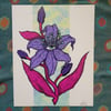 Soul Lily 8x10 print