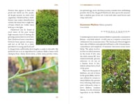 Image 3 of The Forager's Calendar: A Seasonal Guide to Nature’s Wild Harvests