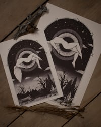 Image 2 of LEVITATION print