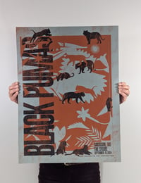 Image 1 of BLACK PUMAS, Madison, WI Poster