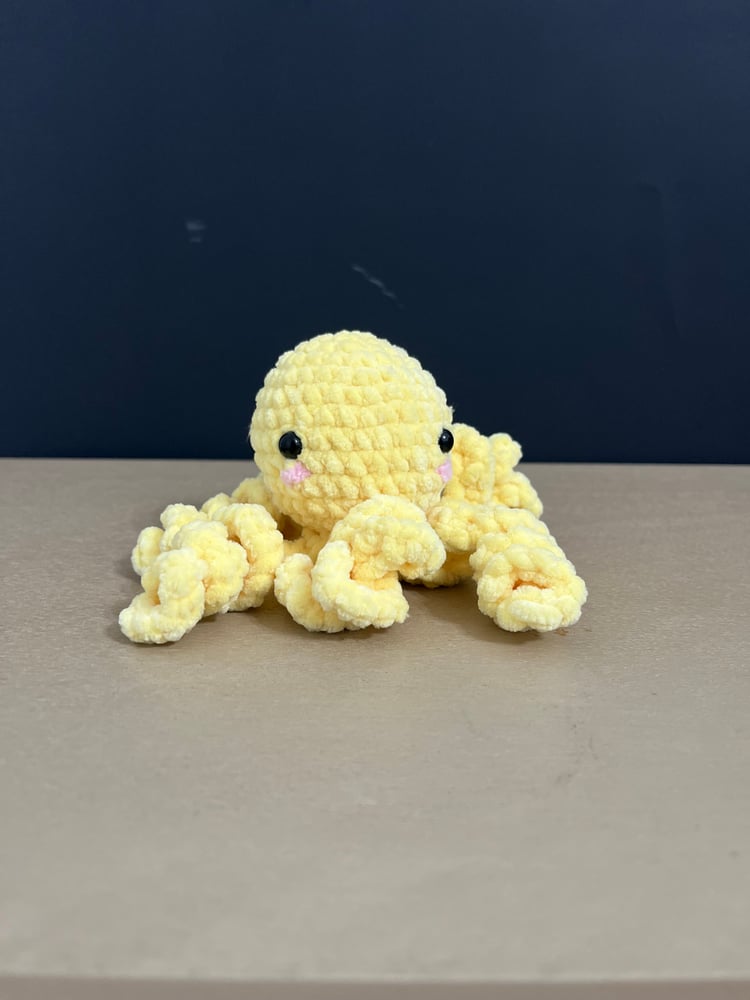 Image of Sunshine Octopus 