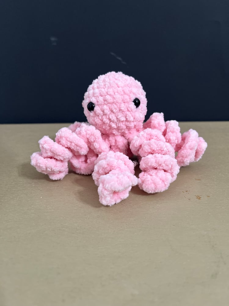 Image of Cotton Candy Octopus 