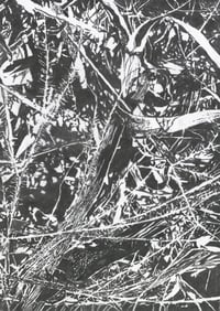 TESSA BEALE 'CANTONMENT HILL FLOOR - DWERA WEELARDINUP'