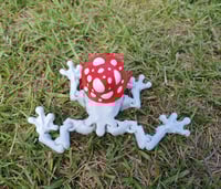 Image 12 of Mushroom Frogs