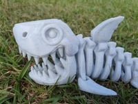 Image 6 of Skeleton Shark