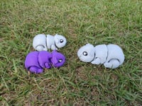 Image 5 of Guinea Pigs