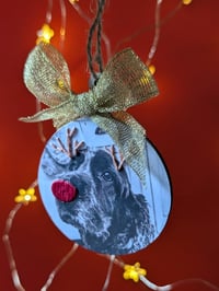 Image 3 of Embroidery pet photo bauble