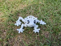 Image 3 of Frogula