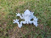 Image 4 of Frogula