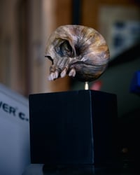 Image 8 of Snail Skull| Snull Sculpture