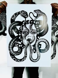Medusa