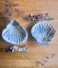 Image 10 of Coquillage en céramique & bâton de fumigation 💐 🐚 