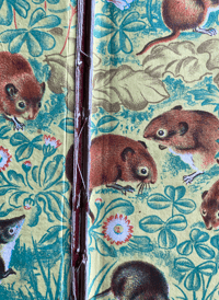 Image 3 of Little Animals of the Countryside by Eileen Mayo