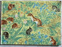 Image 2 of Little Animals of the Countryside by Eileen Mayo