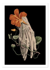 Image 1 of Living and the Dead 