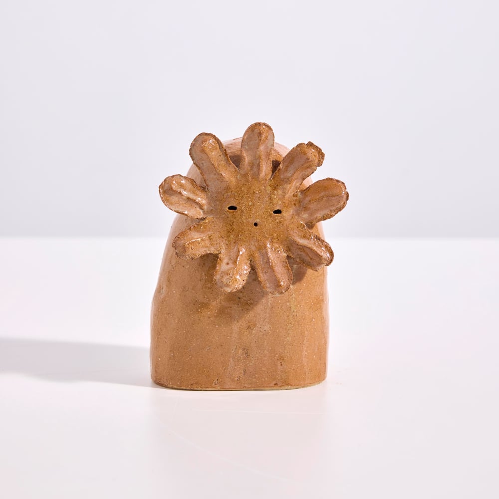 Image of Fleur fantôme cosmos / Cosmos ghost flower