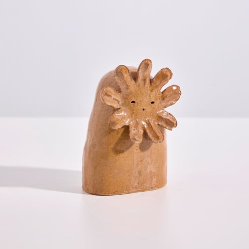 Image of Fleur fantôme cosmos / Cosmos ghost flower