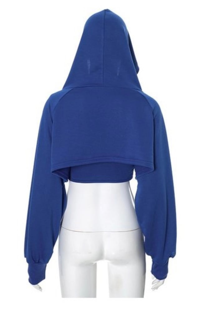 Image of Cropped Hoodie