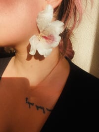 Image 2 of 🤍Bauhinia Studs🤍 White