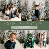 Image 1 of 2024 Whimsical Evergreen Winter Wonderland - Sleigh Mini Session 